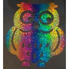 Hotfix Eule hologramm rainbow